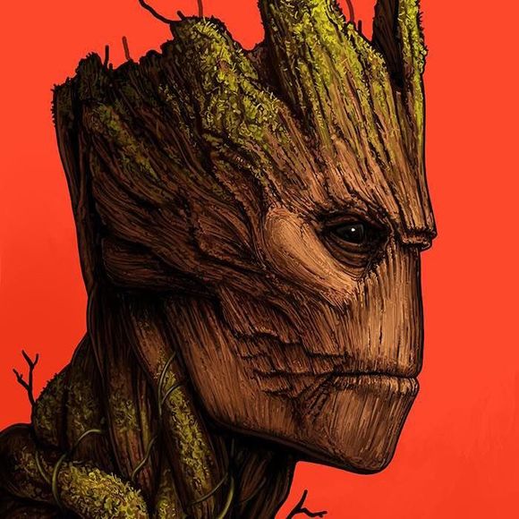 Meet your Posher, Aaron - Picture 1 of 1